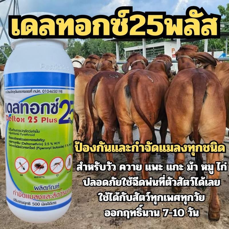 เดลทอกซ์ 25 พลัส ป้องกันและกำจัดแมลง ได้อย่างมีประสิทธิภาพ