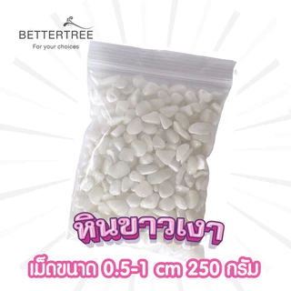 หินขาวเงา 250 กรัม หินแม่น้ำ หินตกแต่งสวนถาด หิน