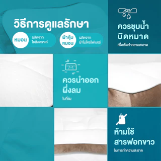 MIDORI Home หมอนสุขภาพจัดกระดูกต้นคอและสันหลัง 40X70 ซม.