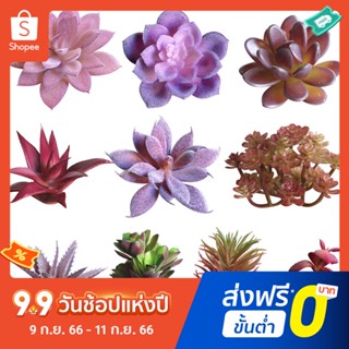 กระถางต้นไม้อวบน้ําประดิษฐ์ DIY สําหรับตกแต่งบอนไซ บ้าน โรงแรม คาเฟ่