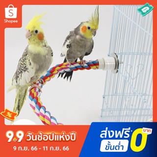 ของเล่นกรงนกแก้ว หลากสีสัน สําหรับนกแก้ว