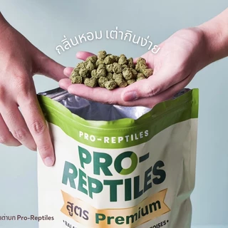 อาหารเต่าบก Pro-Reptiles กินง่าย มีไฟเบอร์สูง เหมาะสำหรับเต่าบกทุกสายพันธุ์ สูตรPremium สูตรOriginal