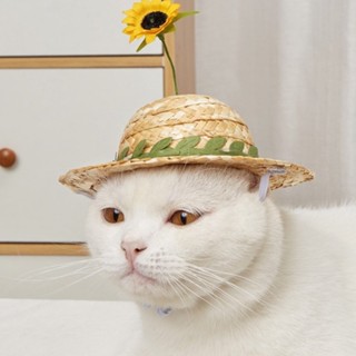 [สินค้าราคาพิเศษ] หมวกฟาง หมวกหมาแมว พร้อมส่ง | CLAWSET.BKK