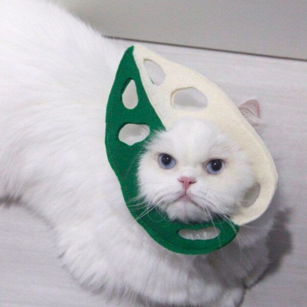 🍀พร้อมส่ง🍀 หมวกแมว ทรงต้นพลูฉลุใบด่าง ใส่เป็นปลอกคอได้ น่ารักๆ สไตล์ญี่ปุ่น