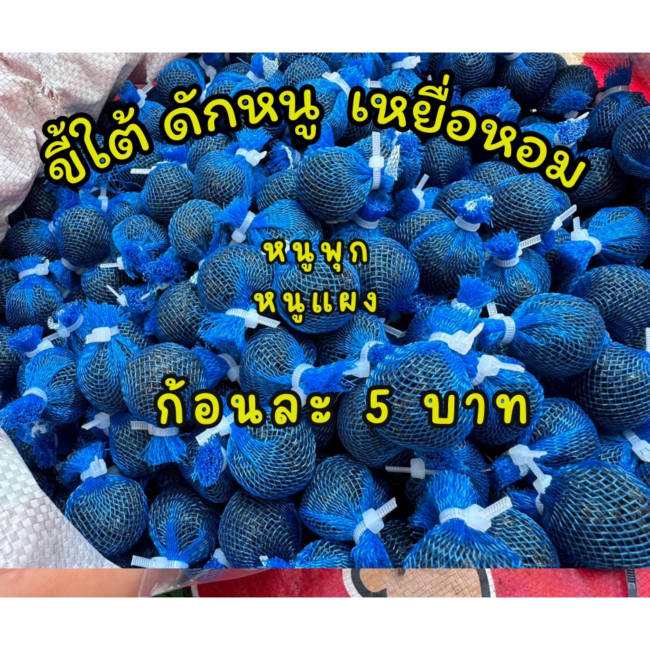 ขี้ใต้ก้อน ขี้ใต้ขั่วหอมอย่างดี เหยือดักหนูนา หนูแผง หนูพุก ชอบมาก  ชุด 10 ชิ้น