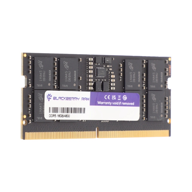 BLACKBERRY RAM DDR5(4800 NB) 16GB - A0156358