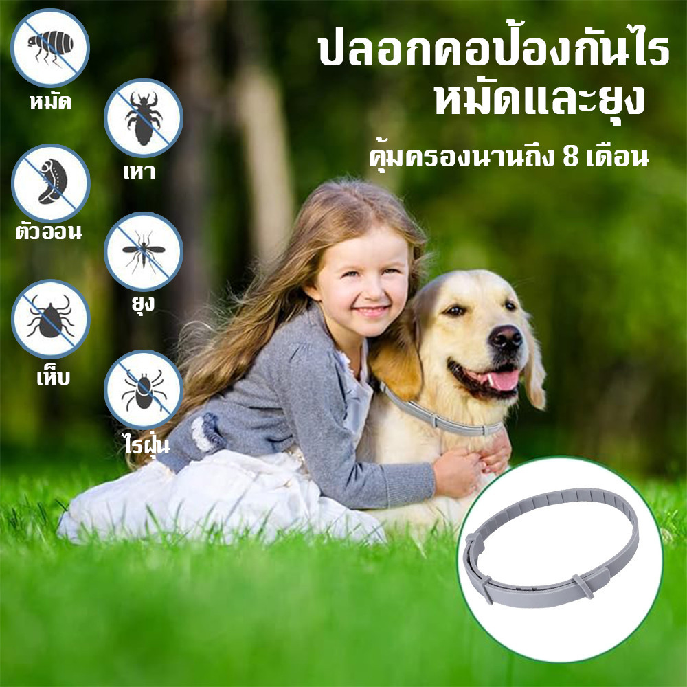 ปลอกคอสัตว์เลี้ยง ปลอกคอกันเห็บหมัด ใช้งานได้ถึง 8 เดือน
