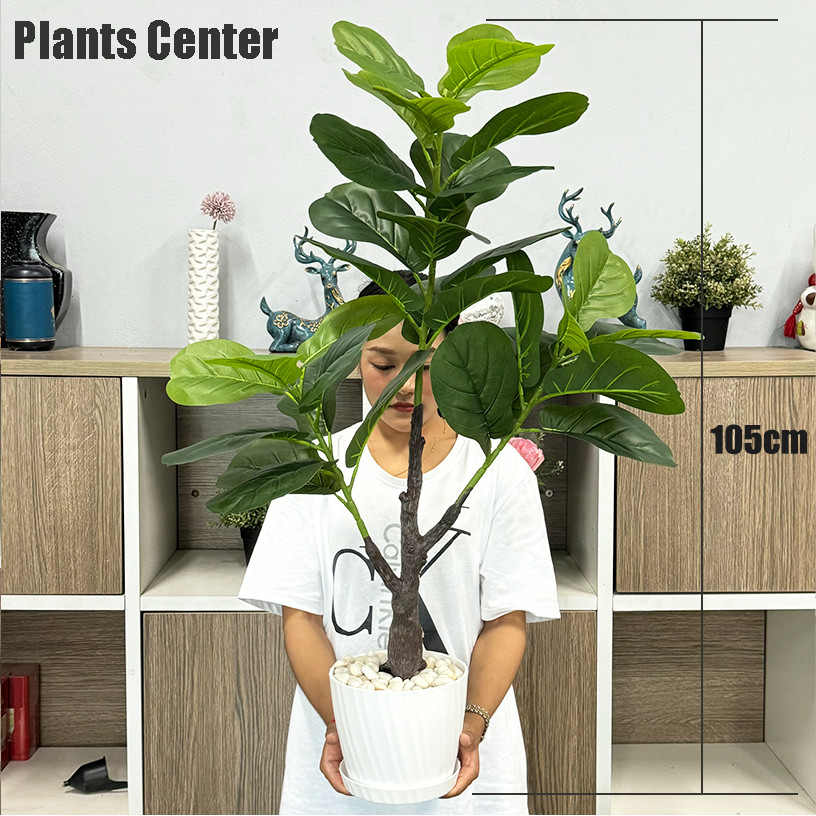 PlantsCenter P005 ต้นไม้ปลอม(ฟรีหินโรย)ต้นไทรใบสัก มอนสเตอร่า ฯลฯ สูง40-105ซม.พร้อมกระถางและหินสีขาว รูปที่ 5