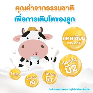 Country Fresh นมช็อกโกแลตยูเอชที นมกล่องพร้อมดื่ม ขนาด 225 มล. (36 กล่อง/ขายยกลัง) [ CCO-225-CARTON ]