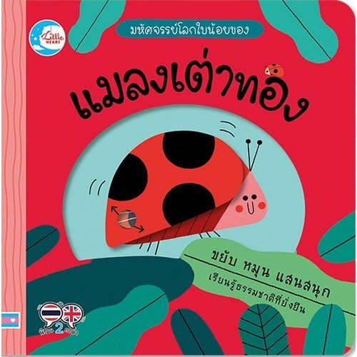 Chulabook|11|หนังสือ|มหัศจรรย์โลกใบน้อยของ แมลงเต่าทอง