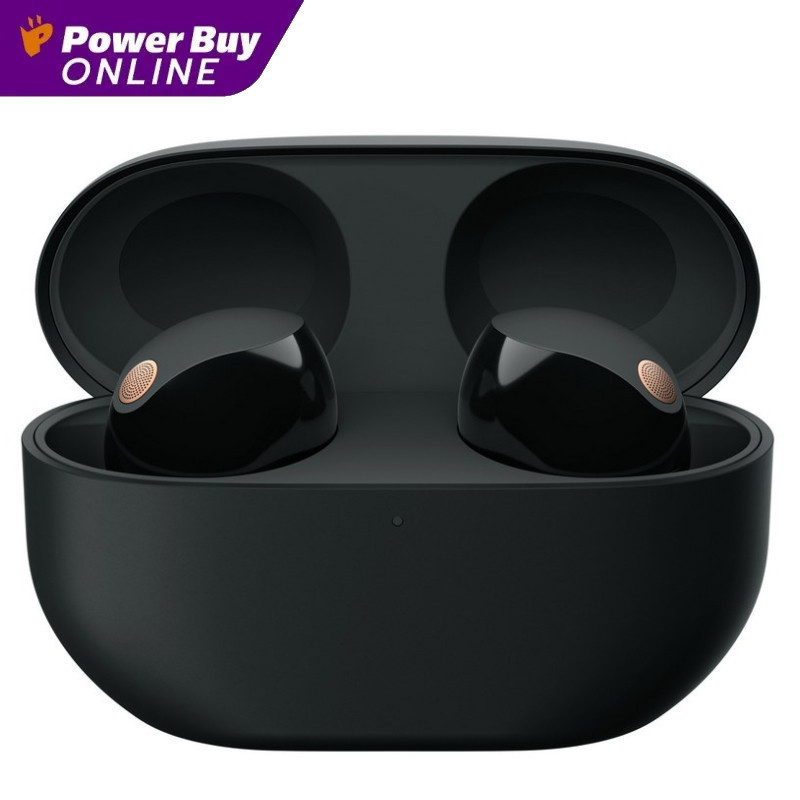 SONY หูฟังไร้สาย บลูทูธ (สีดำ) รุ่น WF1000XM5/BCE