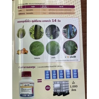 คุโนะอิชิ ขนาด250ซีซี กำจัดไรแดง ไรศัตรูพืช