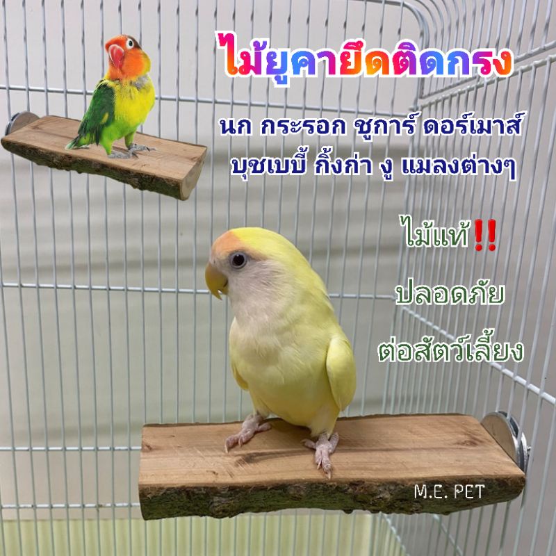 ไม้เหลี่ยมยึดติดกรงสำหรับสัตว์เลี้ยง นก ชูการ์ กระรอก ยึดติดกรงง่าย ทำจากไม้ยูคาธรรมชาติ