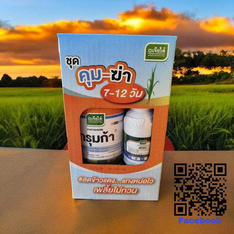 ชุดคุม-ฆ่า 7-12 วัน ลดข้าวแดง แทงหน่อไว เพลี้ยไม่กวน(เจียไต๋)