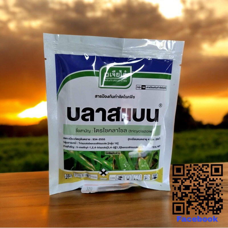 บลาสแบน เจียไต๋ ไตรไซคลาโซล- 100กรัม