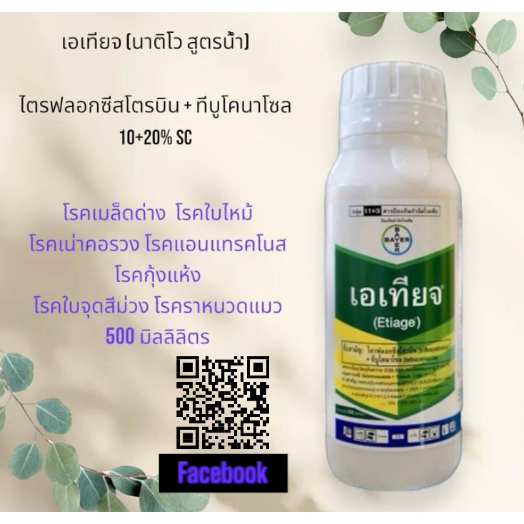 เอเทียจ ขนาด 500 มล.(1 ขวด ฉีดได้ 8-10 ไร่) ป้องกันและหยุดโรค เมล็ดด่าง ใบไหม้แผลใหญ่ ใบจุดสีม่วง
