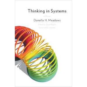 Thinking in Systems : International Bestseller [Paperback]