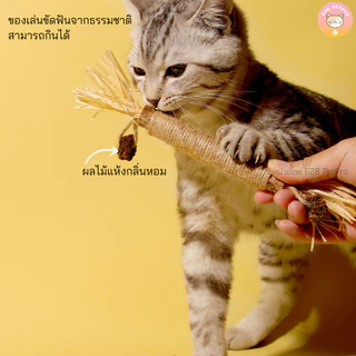 แท่งปาล์มทำความสะอาดฟัน ขัดฟันแมว ของเล่นแมว B057
