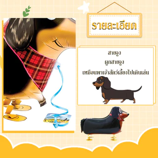 Big Party ลูกโป่งรูปสุนัขแบบเดินได้ Animal Balloon เหมาะสำหรับงานปาร์ตี้วันเกิดเด็กหรืออนุบาล จำลองการจูงสุนัขเดินเล่น