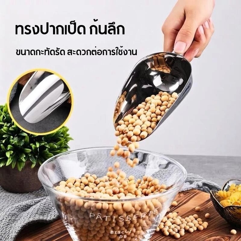 MY COFFEE💗ที่ตักน้ำแข็ง ที่ตักอเนกประสงค์ ตักข้าวสาร อาหารแห้ง วัสดุสแตนเลสอย่างดี ทนทาน ใช้งานได้นาน CGGP - รูปที่ 7