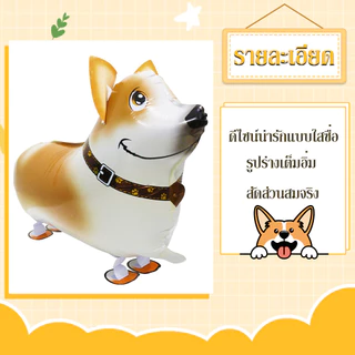 Big Party ลูกโป่งรูปสุนัขแบบเดินได้ Animal Balloon เหมาะสำหรับงานปาร์ตี้วันเกิดเด็กหรืออนุบาล จำลองการจูงสุนัขเดินเล่น