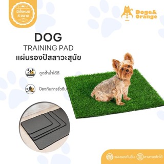 Doge&Orange พร้อมส่ง แผ่นรองปัสสาวะสุนัข แผ่นรองฉี่สุนัข แมว…