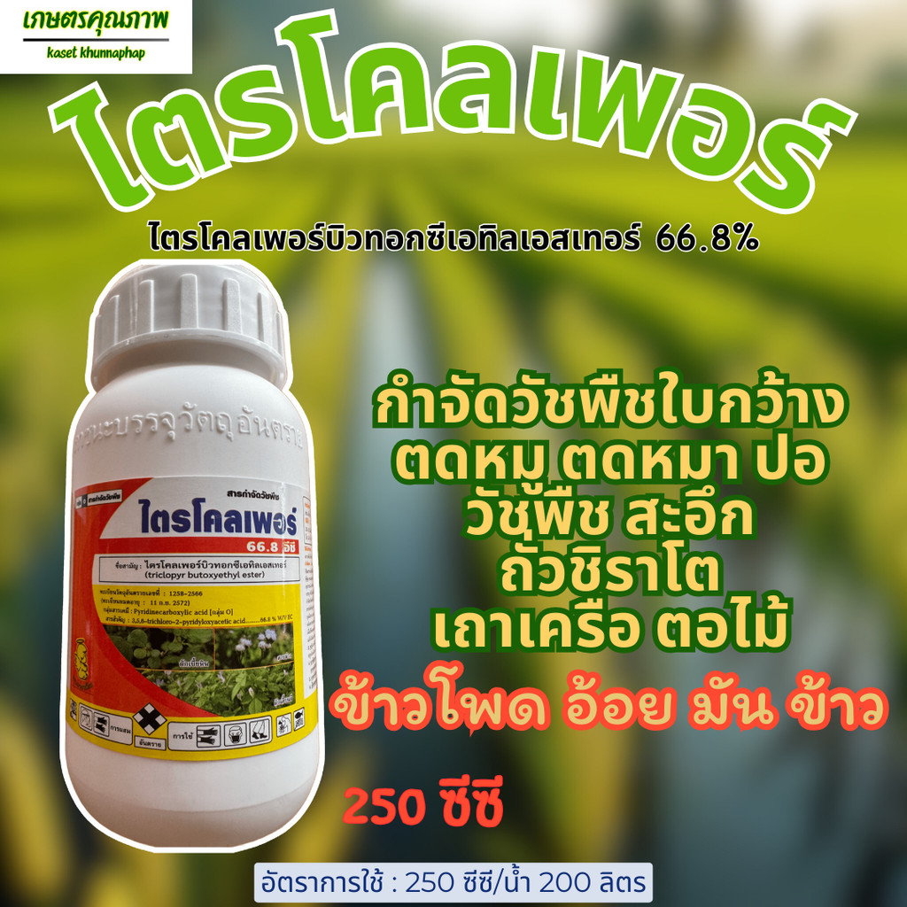 พร้อมส่ง ไตรโคลเพอร์ 66.8% 250 ซีซี รูปที่ 2