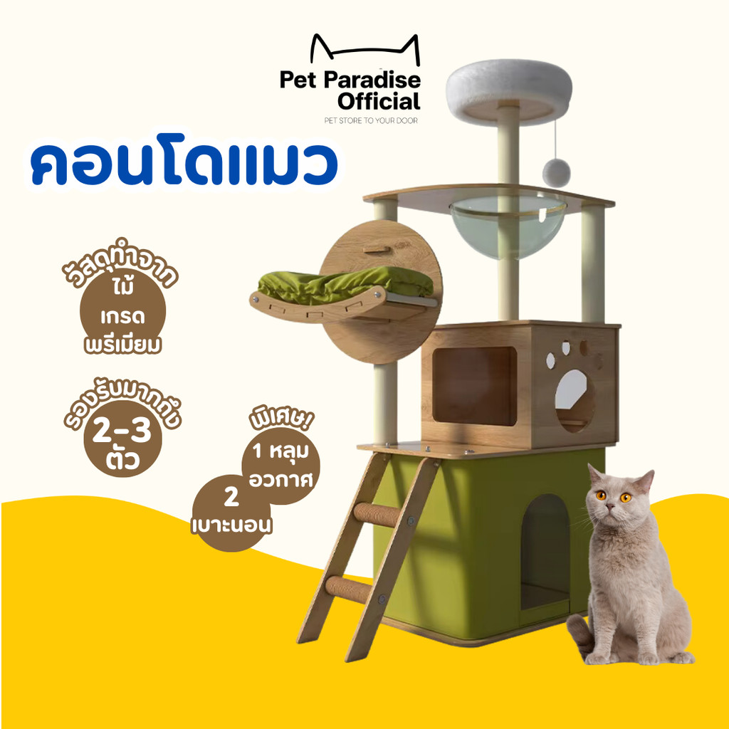 [PetParadise.th] คอนโดแมว cat condo คอนโดแมวไม้ สีสันสดใส มีหลุมอวกาศใส มีให้เลือกหลายแบบ