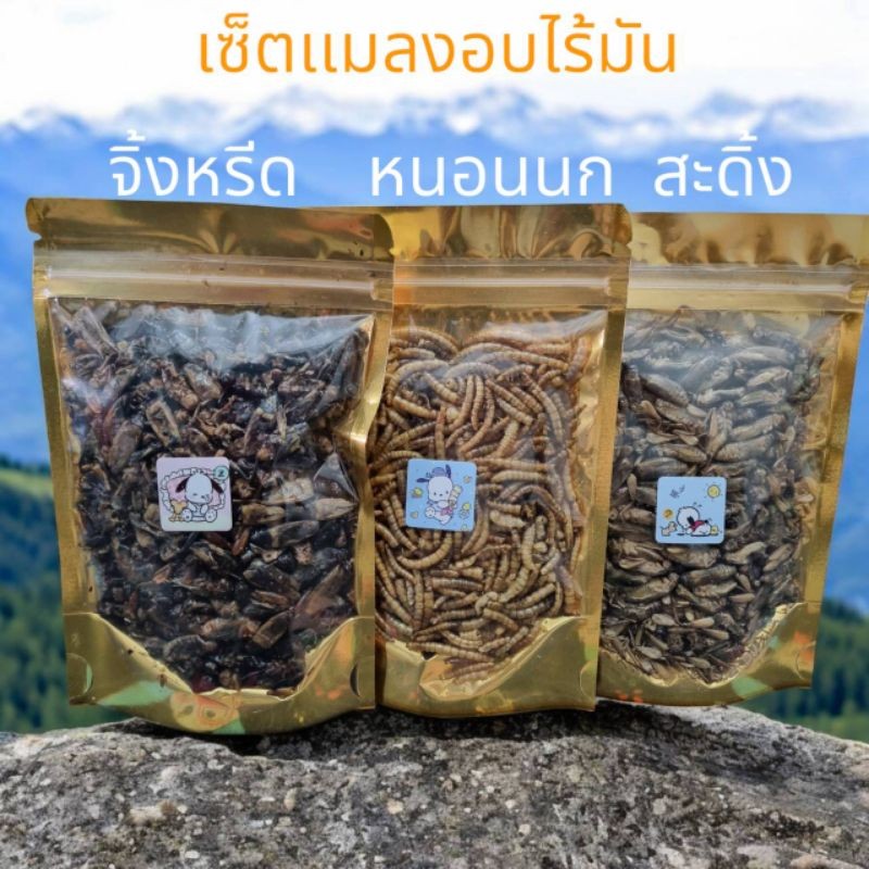 รวมแมลงอบเเห้ง 100กรัม ยกเซ็ต หนอน จิ้งหรีด สะดิ้ง 3ซอง สุดคุ้ม โปรตีนสูง ไร้น้ำมัน ครบจบออเดอร์เดียว