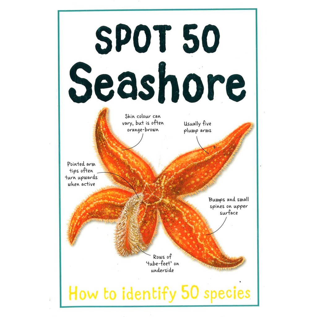 BBW หนังสือ Spot 50: Seashore By Miles Kelly ISBN: 9781848109063