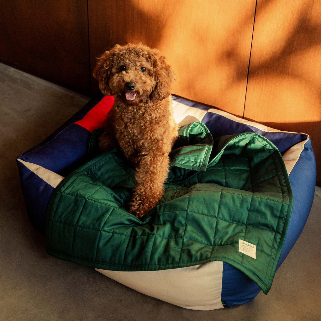 ผ้าห่มสัตว์เลี้ยงทำจากผ้าฝ้ายออร์แกนิก Organic Cotton Pet Quilts