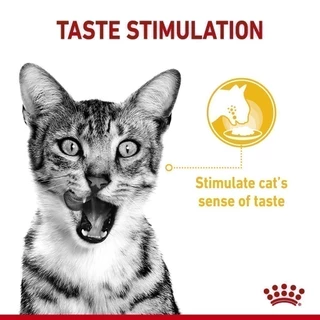 [12 ซอง] Royal Canin Sensory Taste Pouch Jelly อาหารเปียกแมวโตกินยากเลือกกิน รสชาติพิเศษ อายุ12เดือนขึ้นไป (โรยัล คานิน)