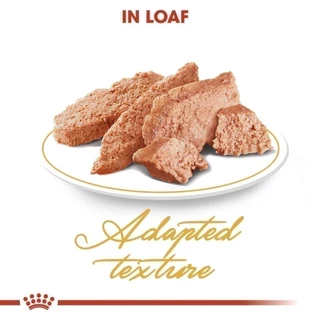 [เซตคู่] Royal Canin Persian Adult 4kg + Persian Pouch Loaf 1 กล่อง อาหารเม็ด+เปียกแมวโต พันธุ์เปอร์เซียน (โรยัล คานิน)