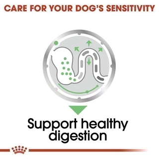 [12 ซอง] Royal Canin Digestive Care Pouch Loaf อาหารเปียกสุนัขโต ทุกขนาด ที่มีปัญหาระบบย่อยอาหาร (Dog Food, โรยัล คานิน)