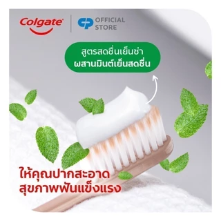 [มี 2 แพ็คให้เลือก] Colgate ยาสีฟัน คอลเกต สดชื่นเย็นซ่า 150 กรัม Colgate Anticavity Toothpaste Fresh Cool Mint 160g