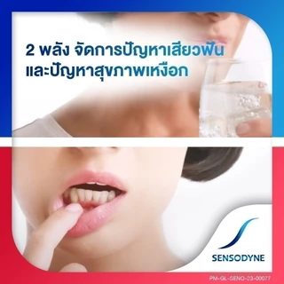 [เลือกสูตรได้] SENSODYNE TOOTHPASTE 100G เซ็นโซดายน์ ยาสีฟัน ฟื้นฟูและปกป้องอาการเสียวฟัน 100 กรัม