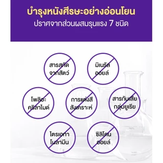 RYO HAIR LOSS EXPERT CARE SHAMPOO - FOR OILY SCALP l เรียว แฮร์ ลอส เอ็กซ์เปิร์ท แคร์ แชมพู - ฟอร์ ออยลี่ สแคลพ