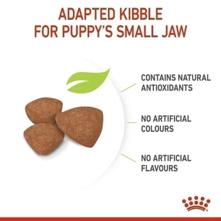Royal Canin Mini Indoor Puppy อาหารเม็ดลูกสุนัข พันธุ์เล็ก เลี้ยงในบ้านอายุ 2-10 เดือน(3 กก.) + อาหารเปียก 85 ก.x 12 ซอง