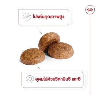[เซตคู่สุดคุ้ม] Royal Canin Medium Adult 7+ 10kg+Royal Canin Medium Ageing 10+ Pouch Gravy สุนัขพันธุ์กลาง อายุ7ปีขึ้นไป