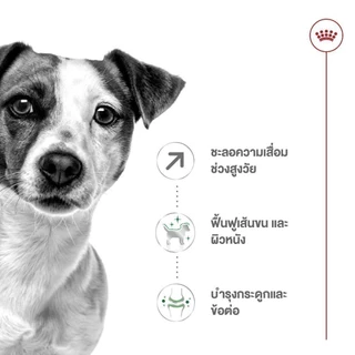 [12 ซอง] Royal Canin Mini Ageing 12+ Pouch Gravy อาหารเปียกสุนัขสูงวัย พันธุ์เล็ก อายุ8ปีขึ้นไป (เกรวี่, โรยัล คานิน)