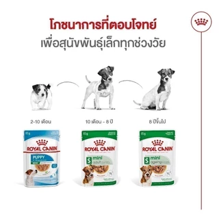 [12 ซอง] Royal Canin Mini Adult Pouch Gravy อาหารเปียกสุนัขโต พันธุ์เล็ก อายุ 10 เดือน-8 ปี (Wet Dog Food, โรยัล คานิน)