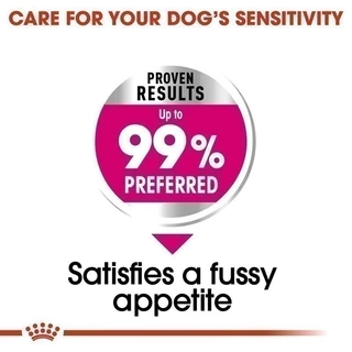 Royal Canin Mini Exigent 3kg อาหารเม็ดสุนัขโต พันธุ์เล็ก ช่างเลือกอาหาร อายุ 10 เดือนขึ้นไป (Dry Dog Food, โรยัล คานิน)