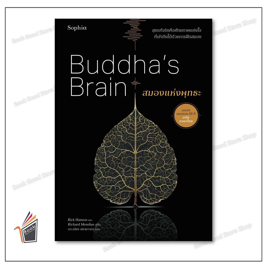 หนังสือ สมองแห่งพุทธะ (ฉบับปรับปรุง) ผู้เขียน: ดร.ริค แฮนสัน,นพ. ริชาร์ด แมนดิอัส  สำนักพิมพ์: Sophia