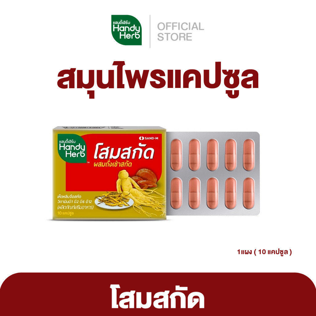 HandyHerb โสมสกัด เพิ่มความสดชื่น กระปรี้กระเปร่า สมุนไพรเเคปซูล ชนิดแผง