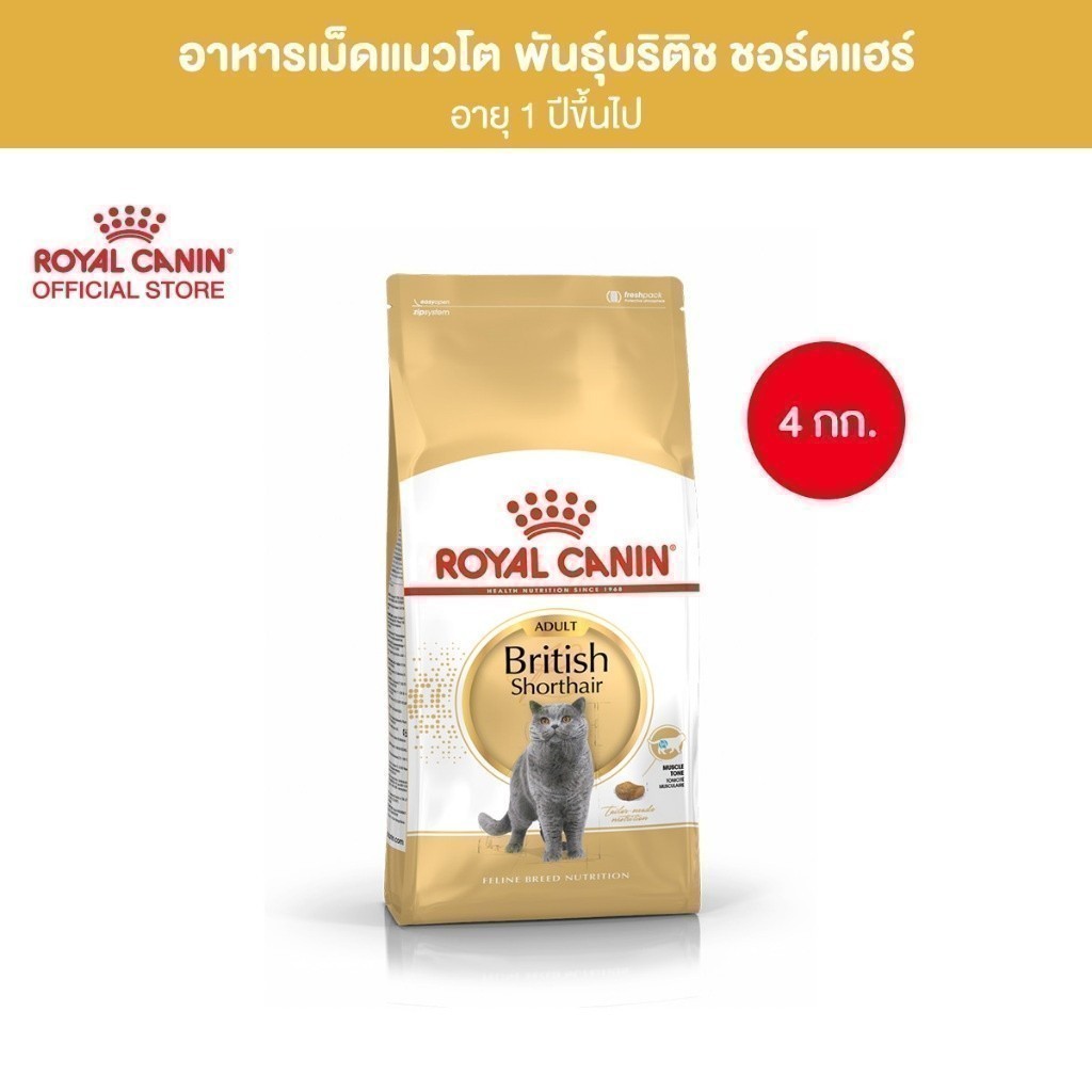 Royal Canin British Shorthair Adult 4kg อาหารเม็ดแมวโต พันธุ์บริติช ชอร์ทแฮร์ อายุ 12 เดือนขึ้นไป (โรยัล คานิน)