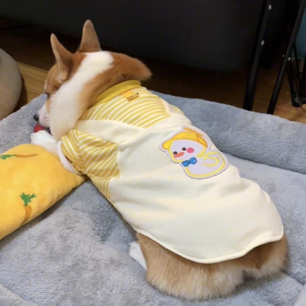 ฉุดเสื้อผ้าสุนัขฤดูใบไม้ร่วงและฤดูหนาวแมวลูกสุนัขน่ารักเป็ดเสื้อกันหนาวสัตว์เลี้ยงสี่ขาเสื้อ