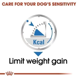 [12 ซอง] Royal Canin Light Weight Care Pouch Loaf อาหารเปียกสุนัขโตทุกขนาด ควบคุมน้ำหนัก (โลฟเนื้อละเอียด, โรยัล คานิน)