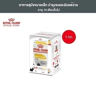 Royal Canin Mini Dermacomfort 1kg อาหารเม็ดสุนัขโต พันธุ์เล็ก ผิวแพ้ง่าย อายุ 10 เดือนขึ้นไป (Dry Dog Food, โรยัล คานิน)