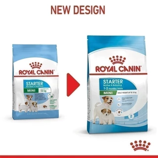 Royal Canin Mini Starter Mother & Baby Dog 1kg อาหารเม็ดแม่สุนัขและลูกสุนัขหย่านม พันธุ์เล็กอายุ 1-2 เดือน (โรยัล คานิน)