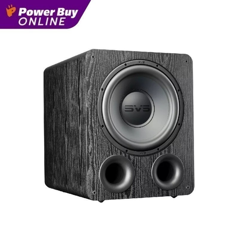 SVS ลำโพงบลูทูธ (325 วัตต์) รุ่น SB 1000 PRO GB